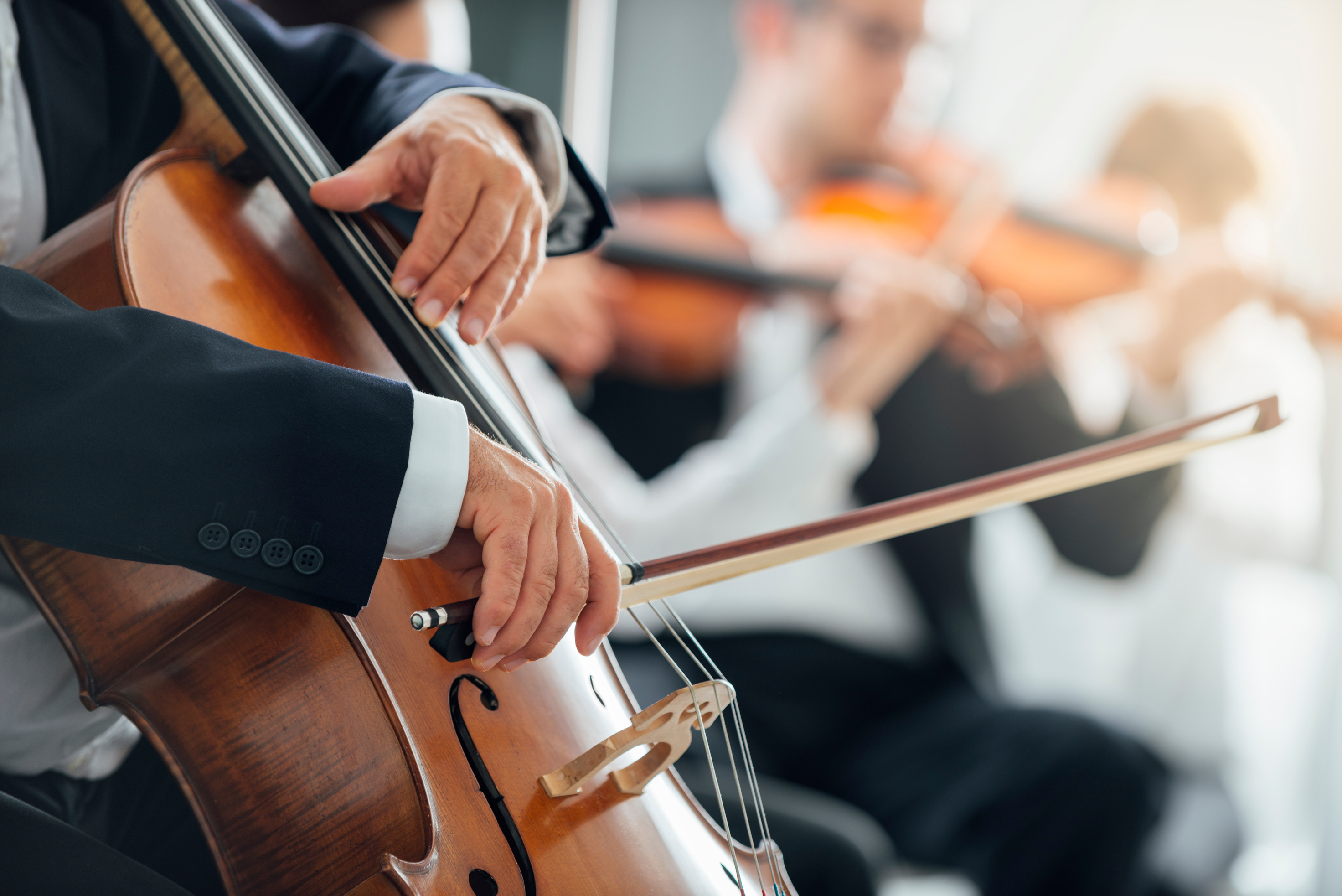 Symphony orchestra performance, string section